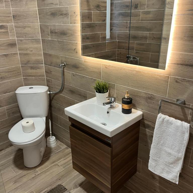Apartmani Tesla - Apartman sa Pogledom na Planinu - 23