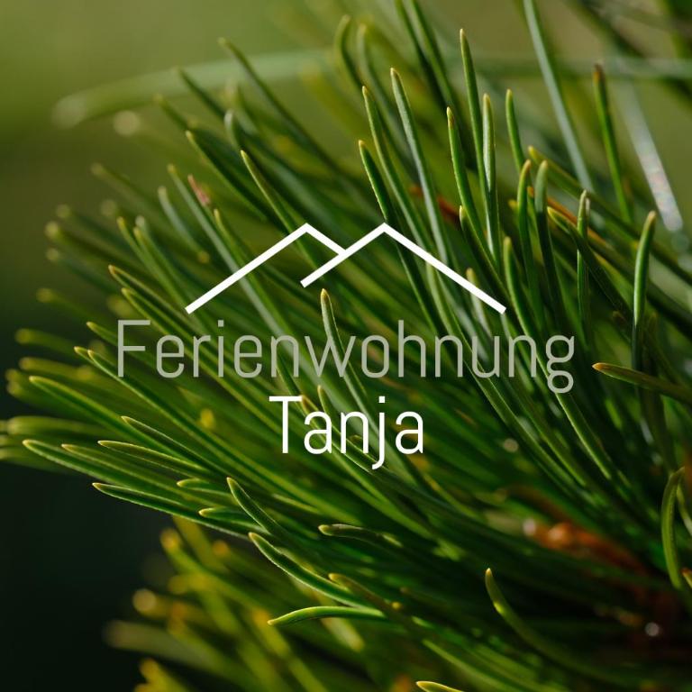 Ferienwohnung Tanja inklusive Sommercard - Apartment mit 2 Schlafzimmern - 2