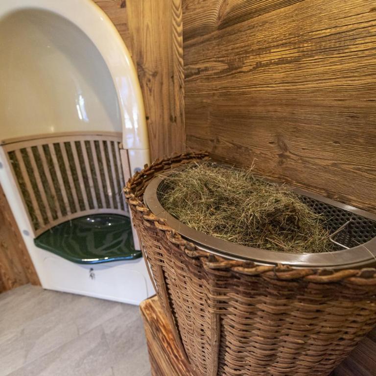 Luech da Perteut - Panorama and Wellness - Appartamento - 30