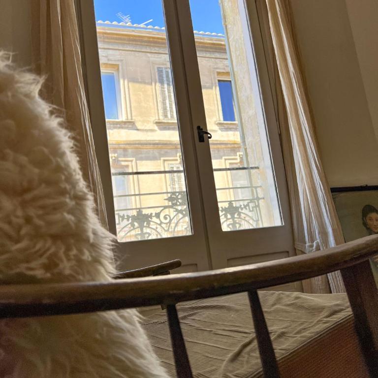 Spacious 2br in Arles Historical Center With Terrace - Appartement 2 Chambres - 26
