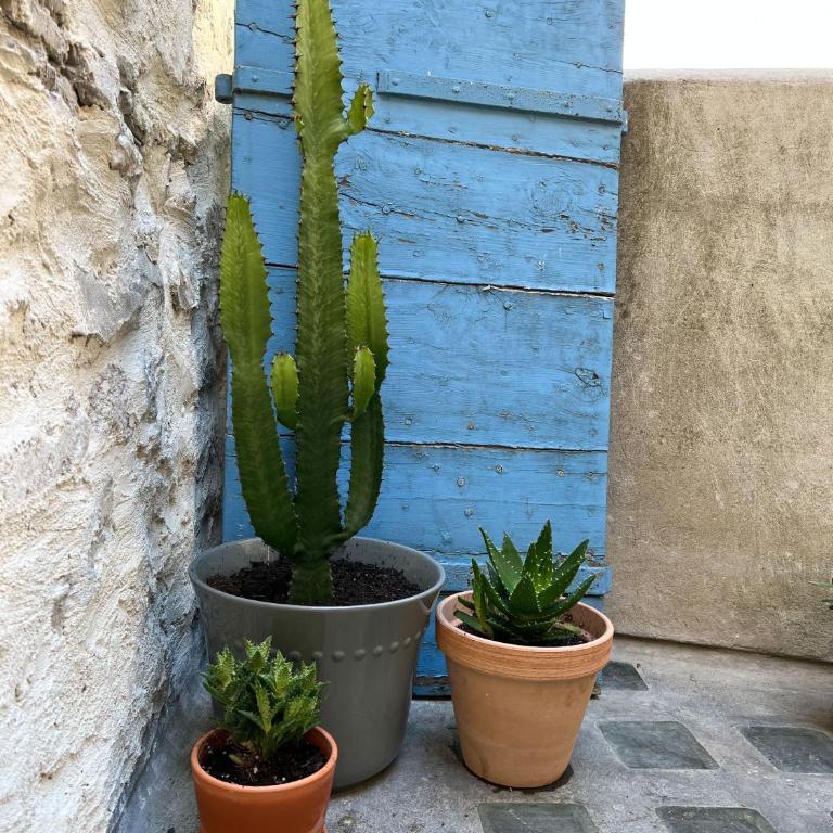 Spacious 2br in Arles Historical Center With Terrace - Appartement 2 Chambres - 6