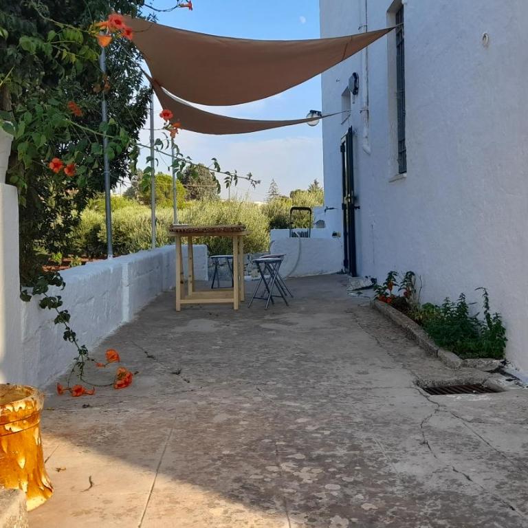 Villa Ottocento Molillo - Three-Bedroom House - 11