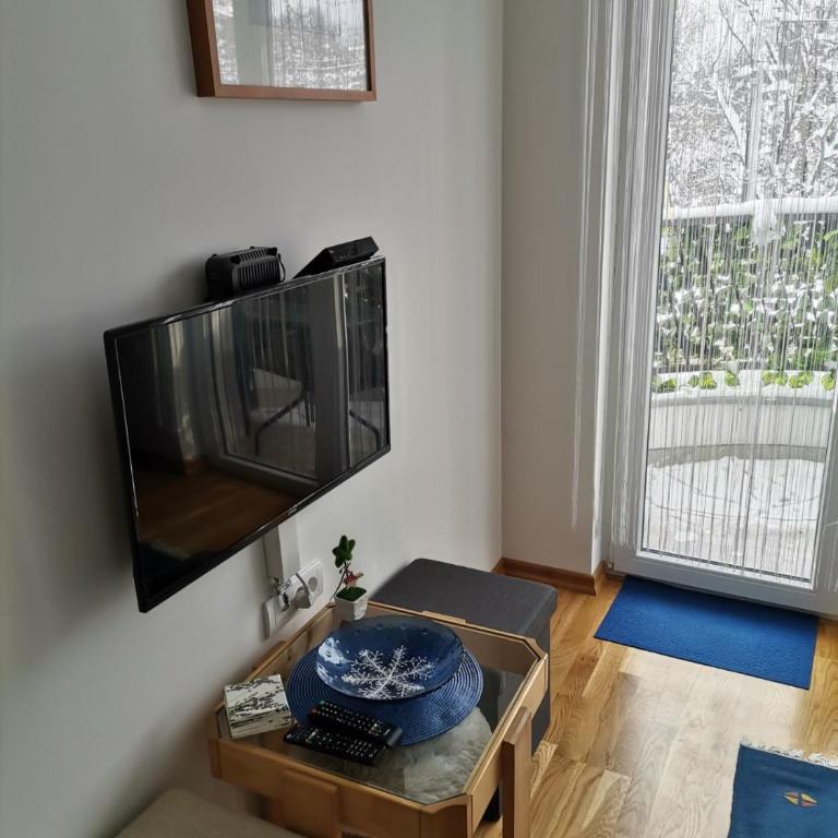 Vidikovac - Apartman sa 1 Spavaćom Sobom - 6