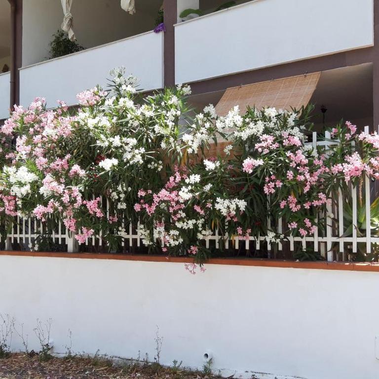 Casa Perciata - Locazione Turistica - Two-Bedroom Apartment with Sea View - 52