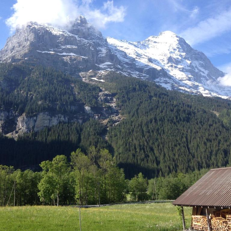 Locherboden - Apartment mit Blick auf die Berge - 16