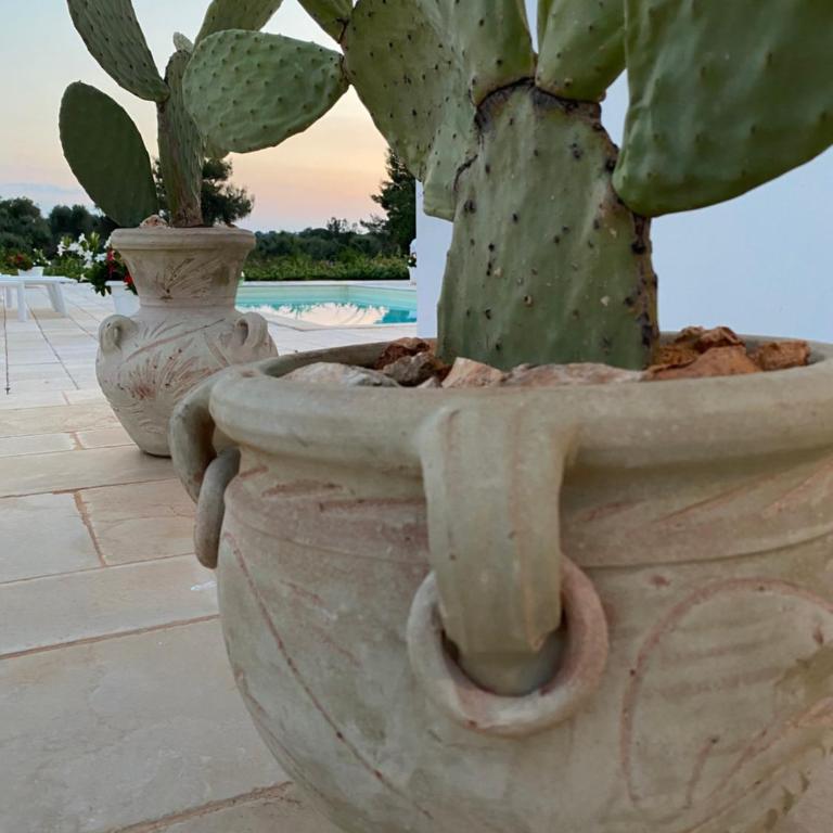 Lamia Petricore Ostuni - Casa con 3 Camere da Letto - 38
