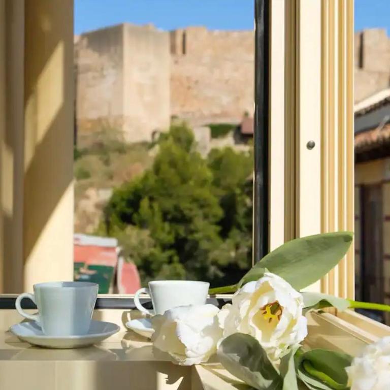 Apartamento céntrico muy luminoso, junto al teatro romano y con vistas a la Alcazaba - Apartment mit 3 Schlafzimmern - 1
