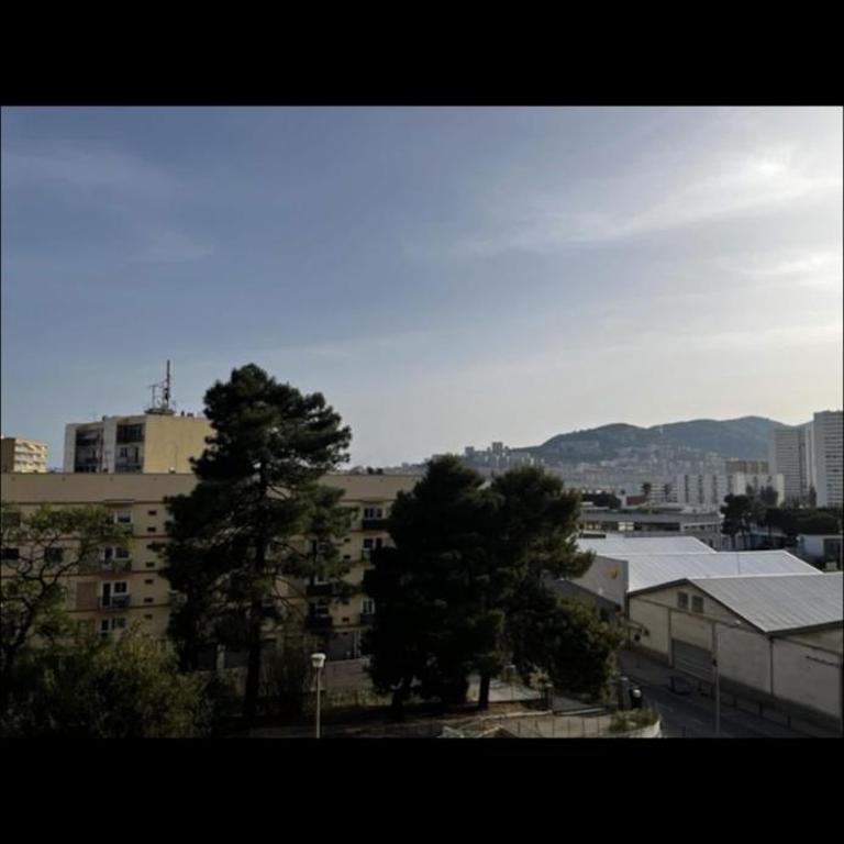 Appartement spacieux, proche centre ville. - Appartement 1 Chambre - 10