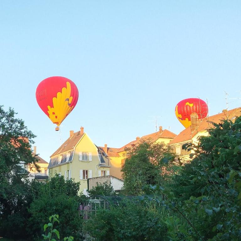 Colmar Friends and Familly guest home - COLMAR Gare - Jardin - Combles et Vous - Appartamento con Vista Giardino - 79