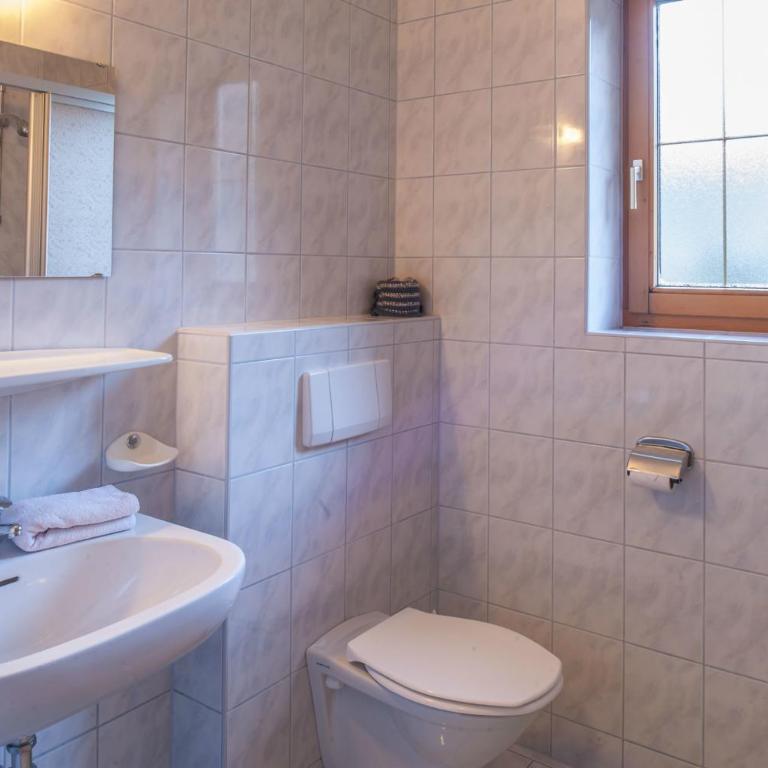 Haus Schönegger - Großes Apartment mit 1 Schlafzimmer und Balkon - 4