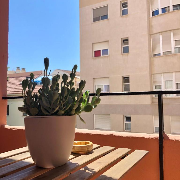 Apartamento en el Centro de Málaga - Two-Bedroom Apartment - 24