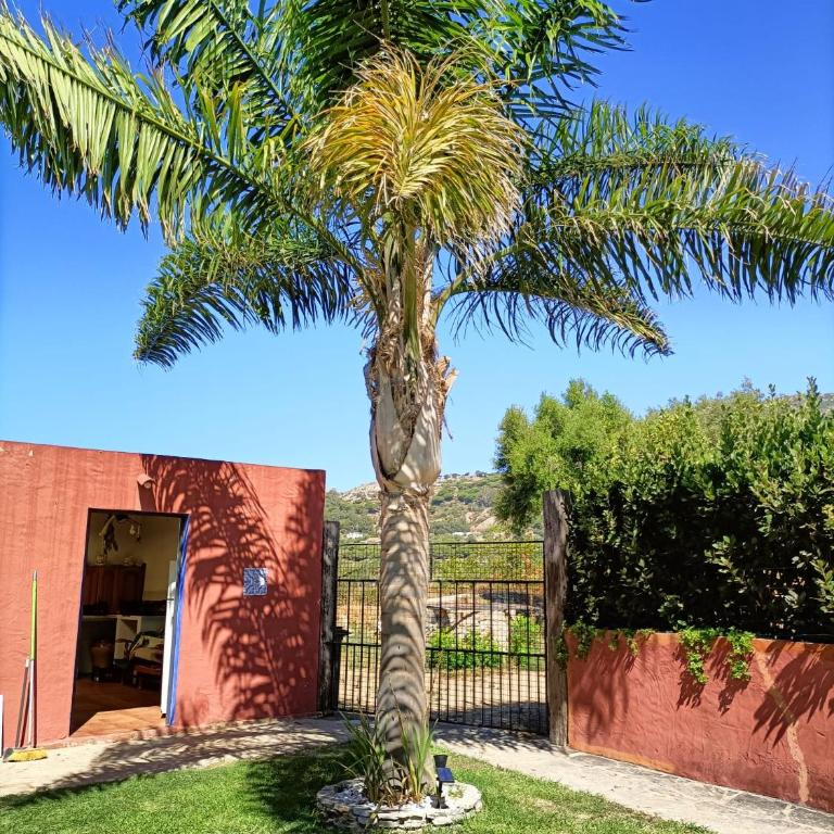 El Palomar Rooms Tarifa - Superior Twin Room - 11