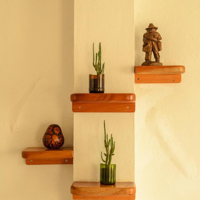 Galapagos Native - Family Room - 3