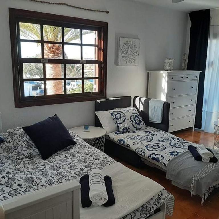 Apartament i basen na Teneryfie, Rayo de Sol ex Parque Albatros - Estudio con terraza - 8