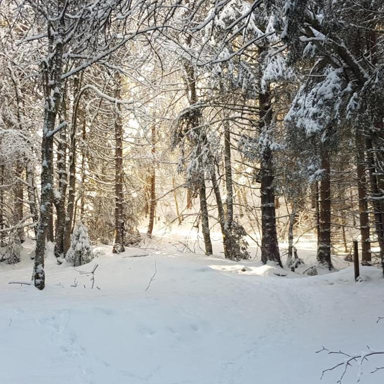 Dans un village savoyard a 1000 m d'altitude bel appartement spacieux de140m2 avec vue magnifique sur la montagne - Appartement avec Vue sur la Montagne - 55