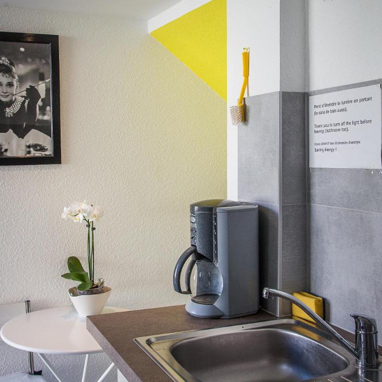 Villa Schiller, 2 studios côté jardin - quartier Orangerie - Studio with Terrace - 6