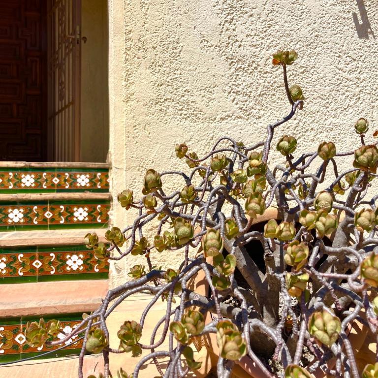 Villa de estilo español con jardín y piscina - Villa - 58