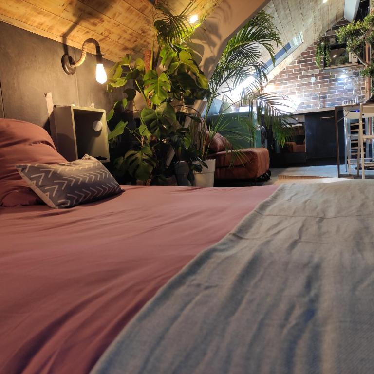 La cachette sous les toits balnéo climatisé - One-Bedroom Apartment - 7
