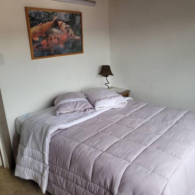 Apartamento tipo estudio - Apartment - 5