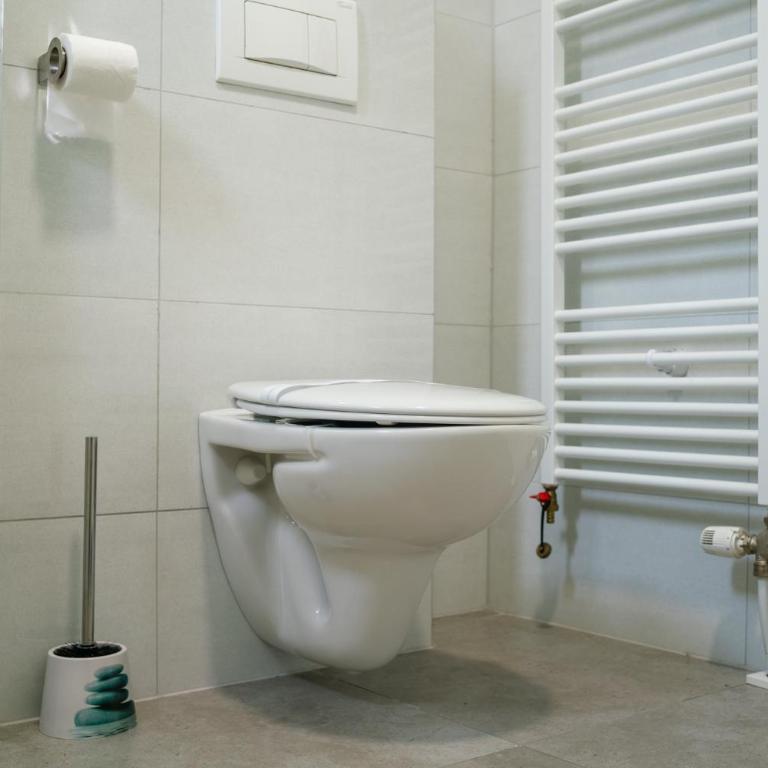 Apartman Pale centar Free parking - Deluxe Double Studio - 40