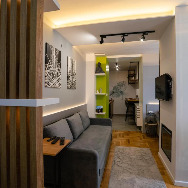 Apartman Pale centar Free parking - Deluxe Double Studio - 16