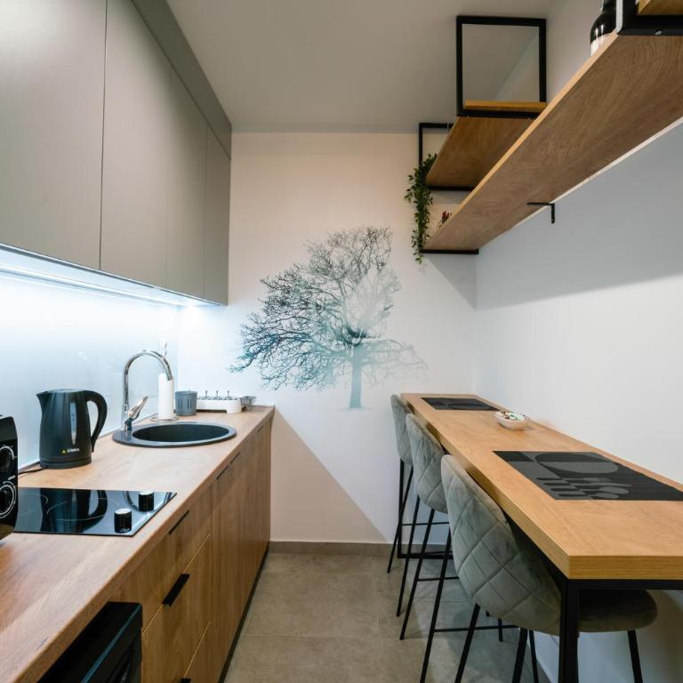 Apartman Pale centar Free parking - Deluxe Double Studio - 31
