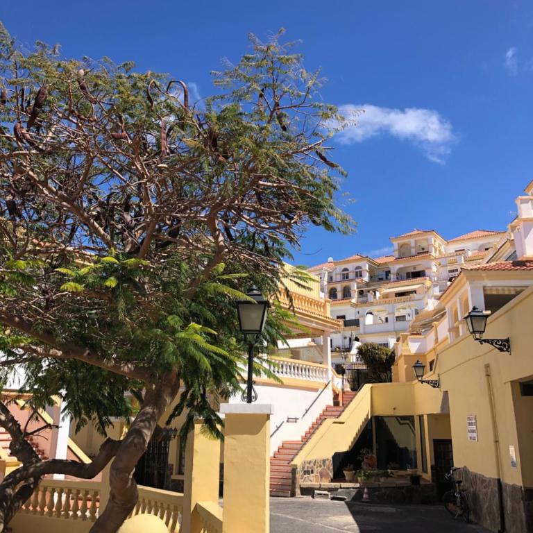 Stylish design w ocean & pool view, King size bed, Wifi,2 Smart Tv, street parking, 2 pools access - Apartamento de 1 dormitorio - 29
