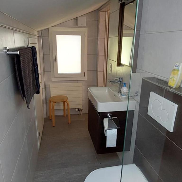 Chalet Sunnmätteli - Apartment mit 1 Schlafzimmer - 10