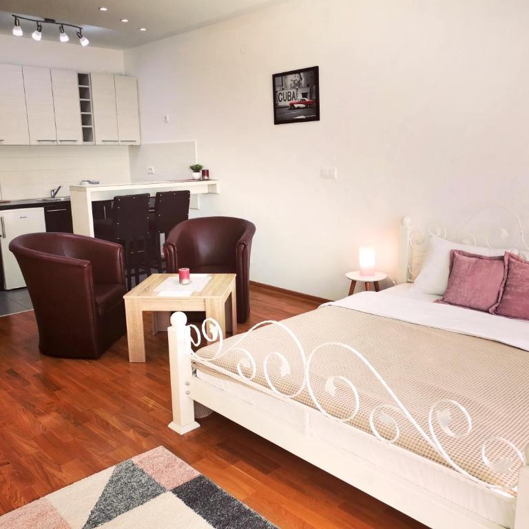 VIKONT studio apartment with parking 5 eur per day - Studio Apartman - 1