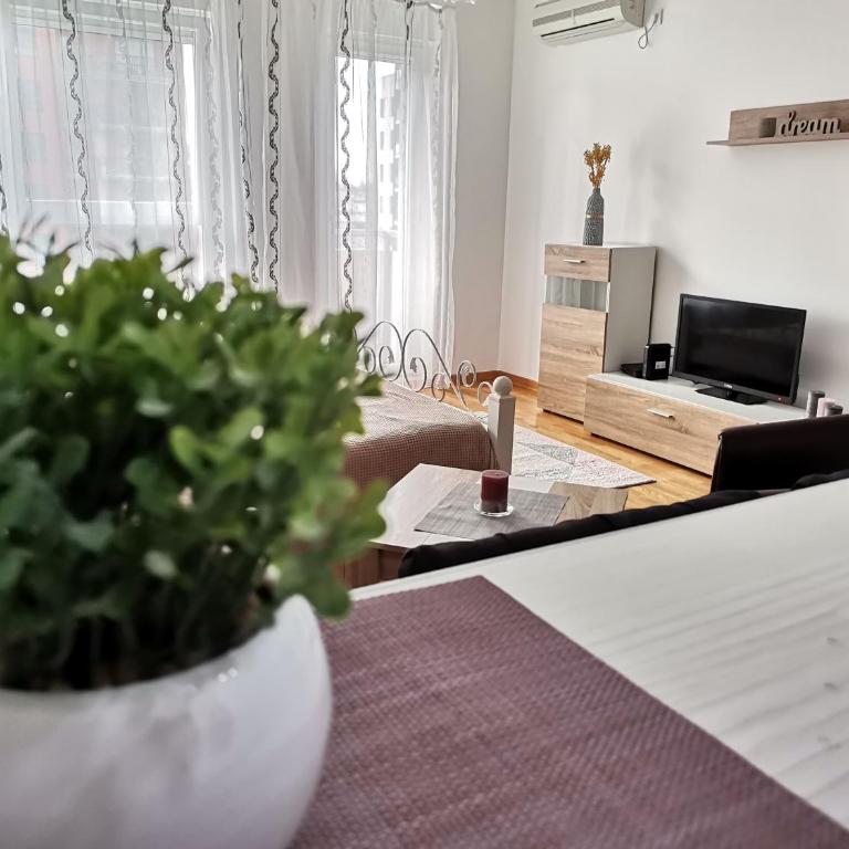 VIKONT studio apartment with parking 5 eur per day - Studio Apartman - 19