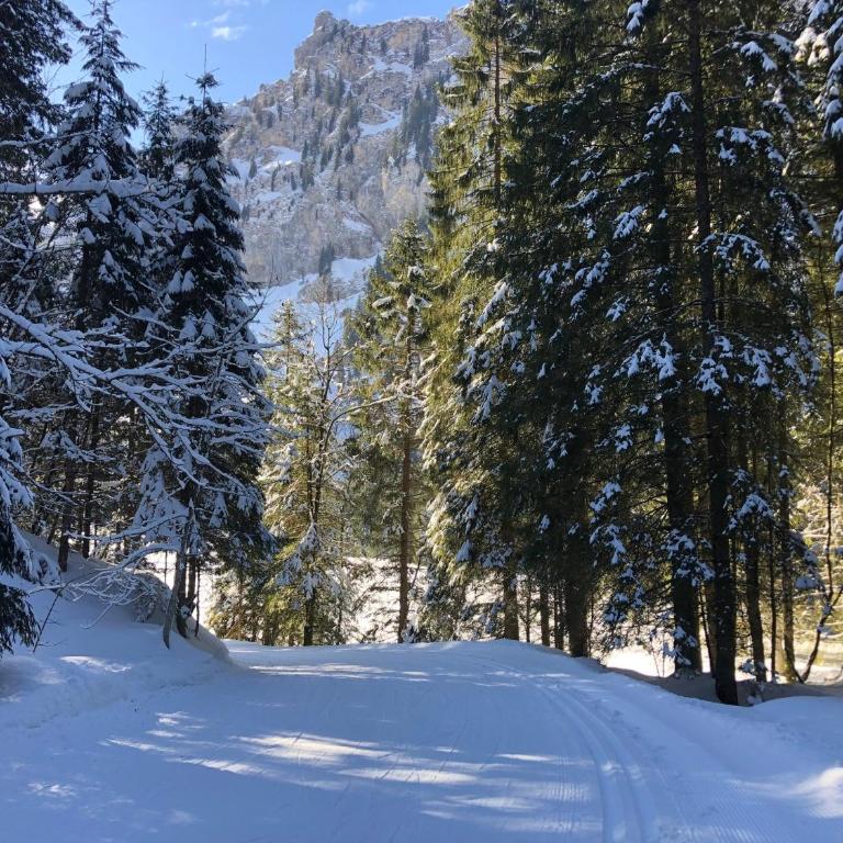 Summer Stay in Engelberg Apartment with Spacious Terrace & Mountain Views - Apartment mit Blick auf die Berge - 20
