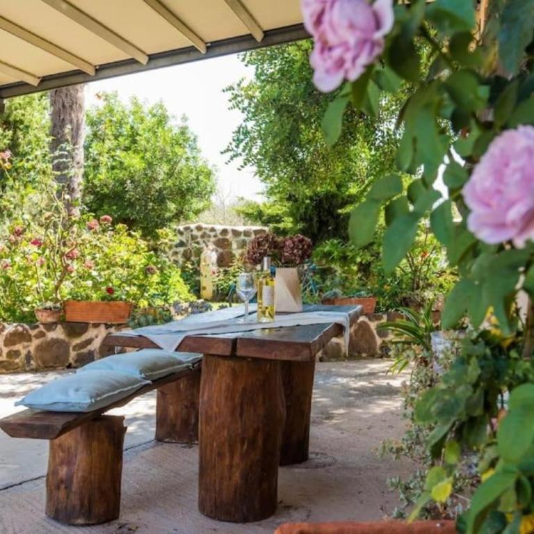 villa con immenso giardino - Villa con Vista Giardino - 6