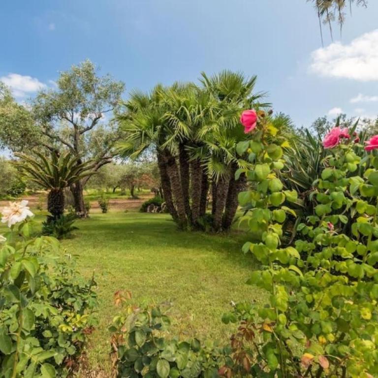 villa con immenso giardino - Villa con Vista Giardino - 13