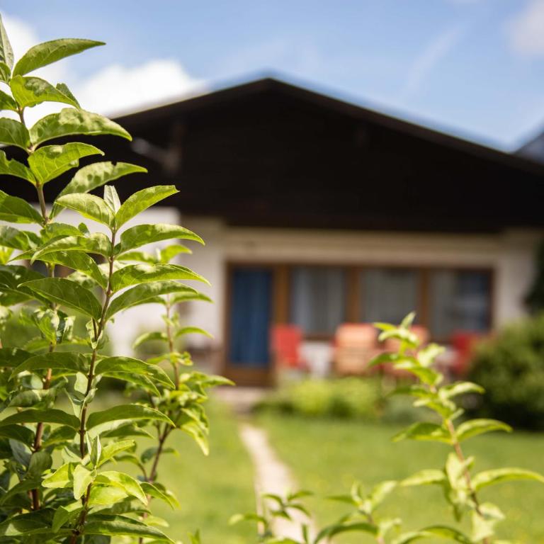 Forellenhof Appartements & Grossmutters Bungalow - Bungalow mit 2 Schlafzimmern - 3