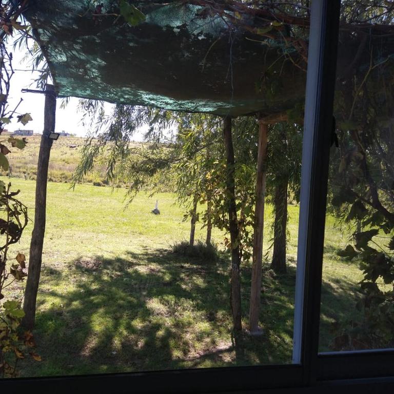 Herencia Nativa - Chalet de 1 dormitorio - 8