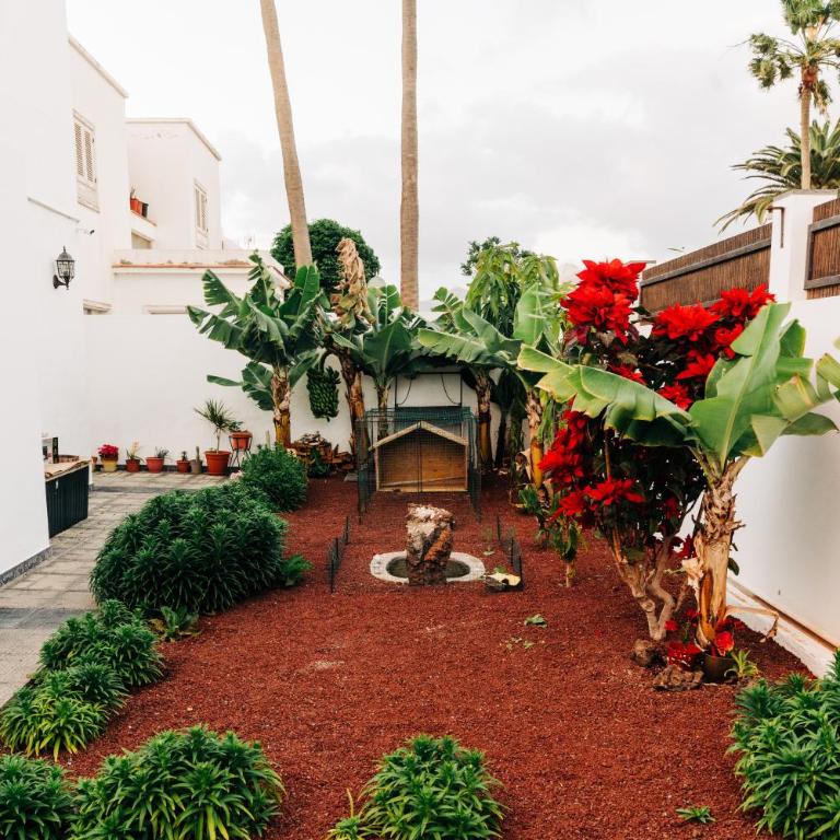 La Palmera - Fabulosa Casa, LANZAROTE, Playa Honda - Casa de 2 dormitorios - 6