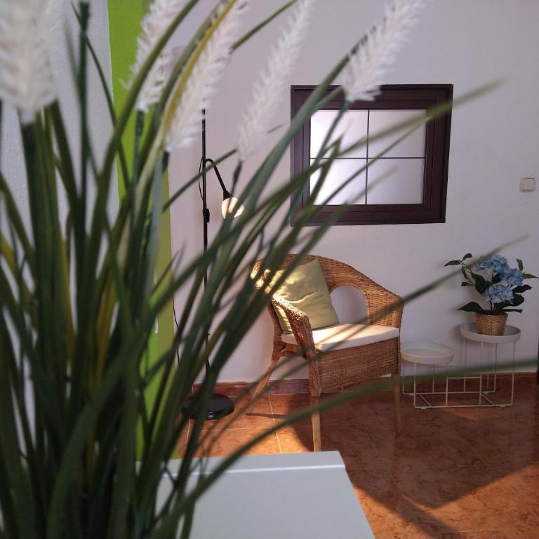 Central Estudio Torremolinos - Estudio 4 - Apartamento de 1 dormitorio - 2