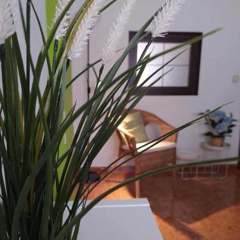 Central Estudio Torremolinos - Estudio 4 - Apartamento de 1 dormitorio - 3