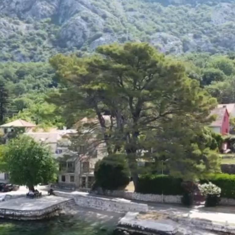 lovely apartment on the sea shore, with a view and free Wi-Fi - Apartman sa 1 Spavaćom Sobom - 5