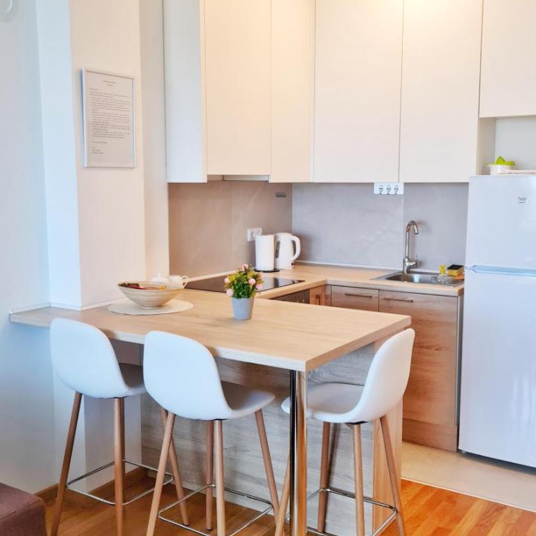 Apartman Filipović - Apartman sa 1 Spavaćom Sobom - 7