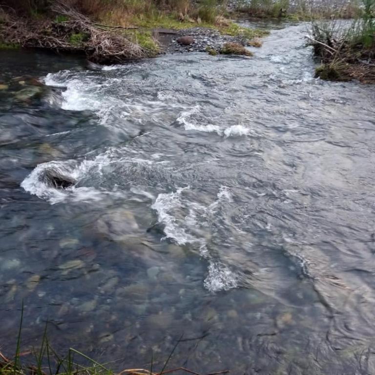 CABAÑA EL DIUCO EN COÑARIPE 8 - One-Bedroom Apartment - 10