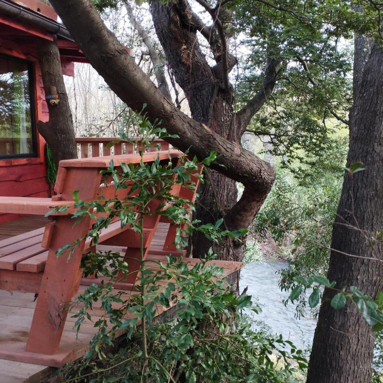 CABAÑA EL DIUCO EN COÑARIPE 8 - One-Bedroom Apartment - 11