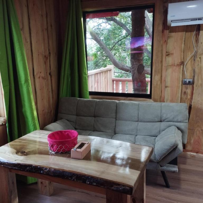 CABAÑA EL DIUCO EN COÑARIPE 8 - One-Bedroom Apartment - 20