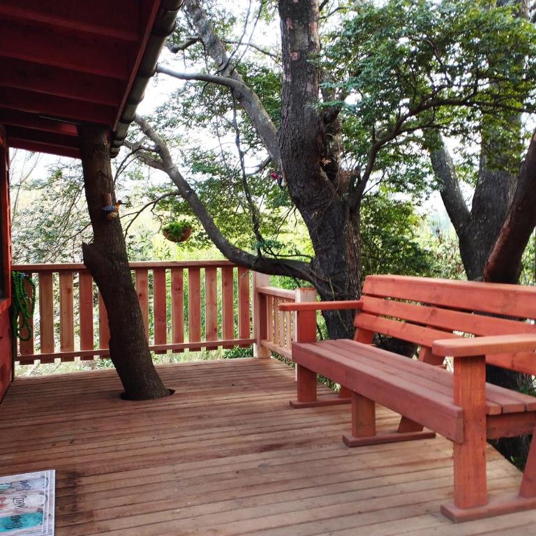 CABAÑA EL DIUCO EN COÑARIPE 8 - One-Bedroom Apartment - 27