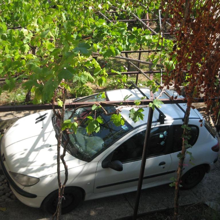 Vesela vila - Apartman sa 3 Spavaće Sobe - 7