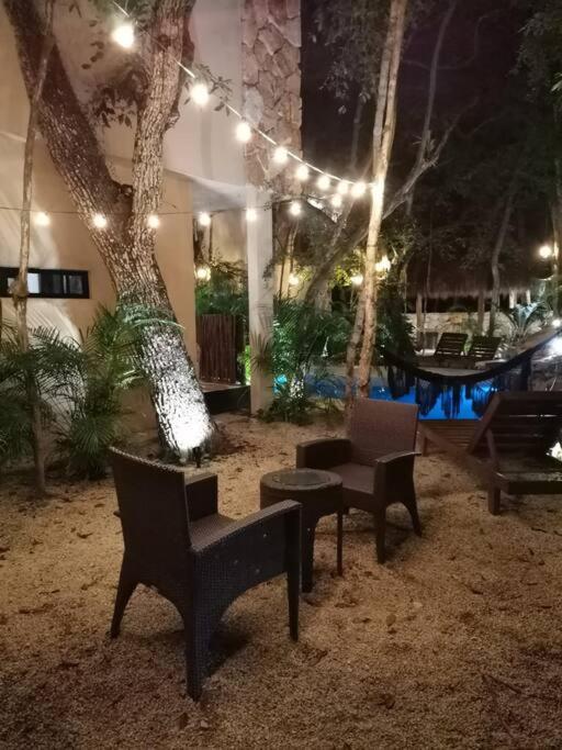 Agua & Selva luxury Jungle loft - Apartamento de 1 dormitorio - 41