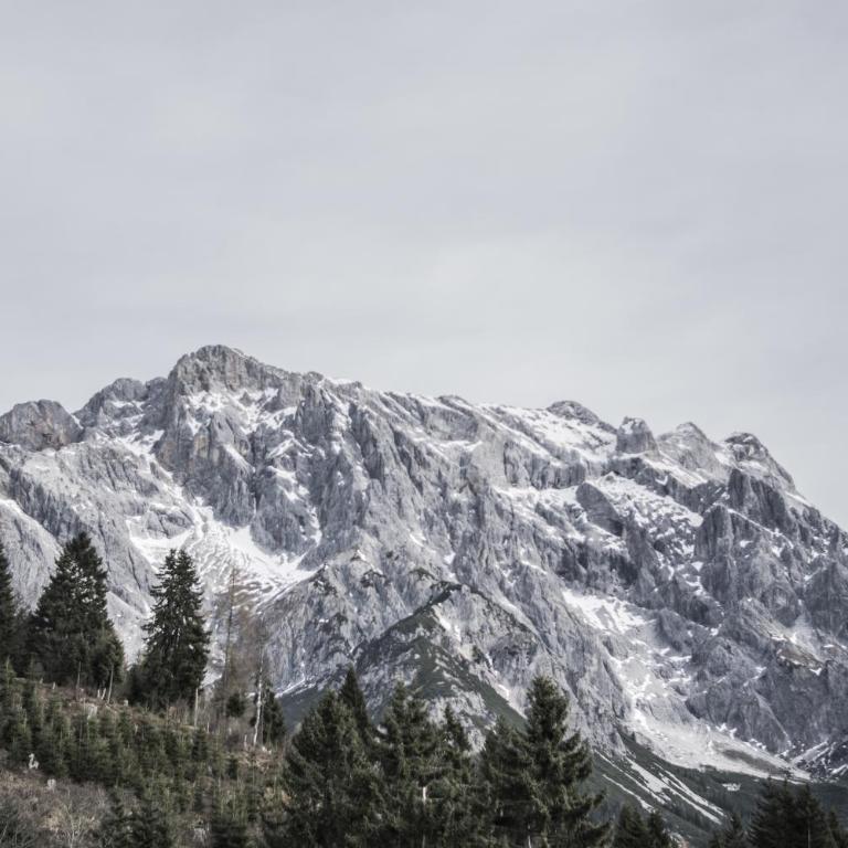 Das Hochkönig - Apartamento con balcón - 1ª planta - 18
