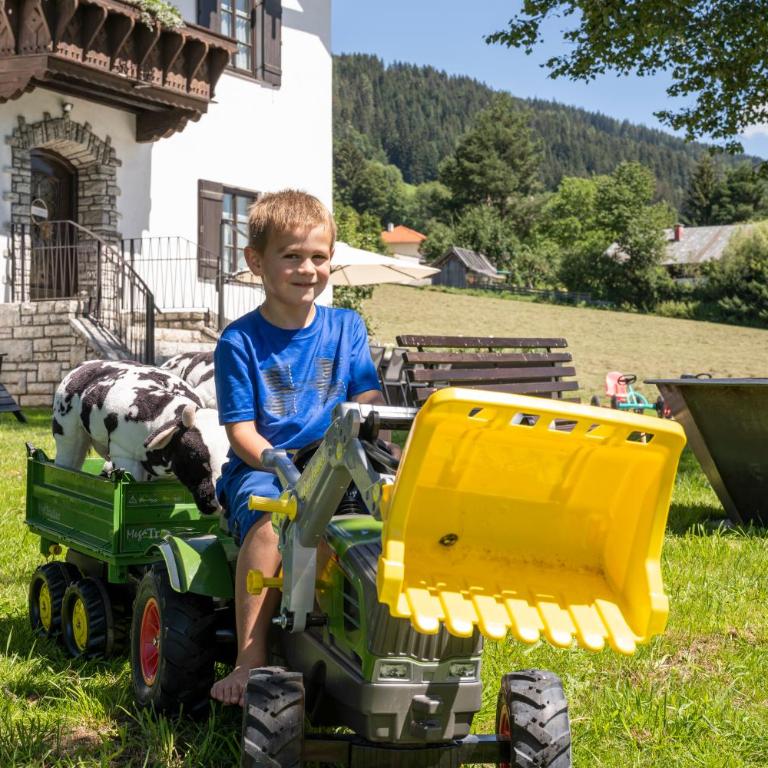 NEUHOFGUT I BoutiqueBauernhof I Echt besonders für 10 Gäste - Chalet - 26