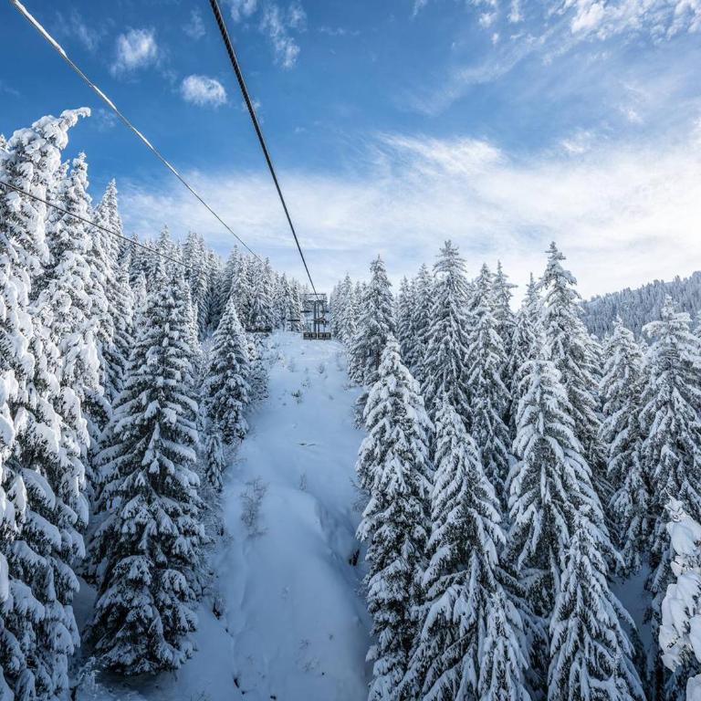 Studio rénové skis aux pieds, balcon sud, parking inclus, proche commerces et garderie. - FR-1-398-512 - Studio - 9
