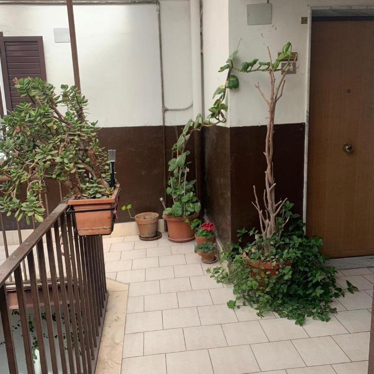 Palazzo dei tabacchi - Appartamento con 1 Camera da Letto - 7